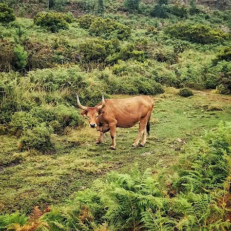 Casa Da Cuca Dom wakacyjny